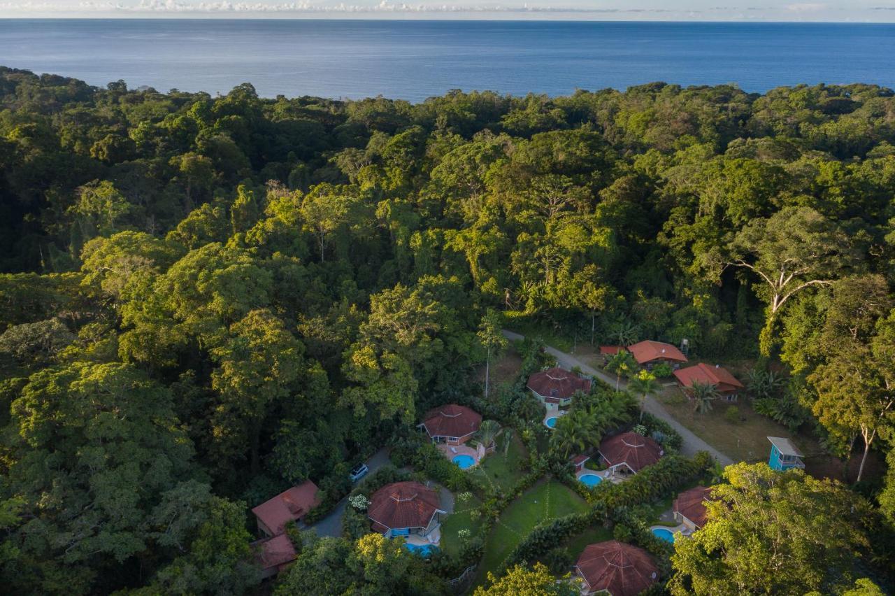 Lomas Del Caribe Puerto Viejo de Talamanca Exterior foto